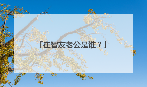 崔智友老公是谁?