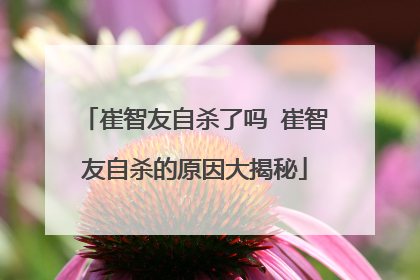 崔智友自杀了吗 崔智友自杀的原因大揭秘