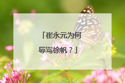 崔永元为何辱骂徐帆?