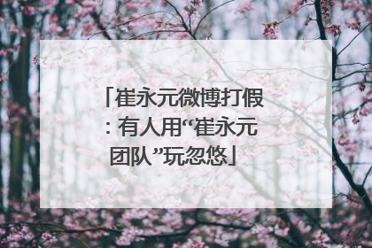 崔永元微博打假:有人用“崔永元团队”玩忽悠