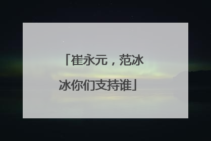 崔永元,范冰冰你们支持谁