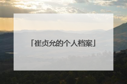 崔贞允的个人档案