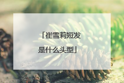 崔雪莉短发是什么头型