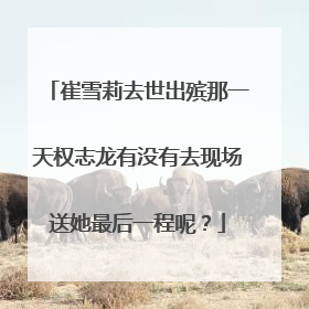 崔雪莉去世出殡那一天权志龙有没有去现场送她最后一程呢？