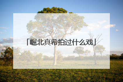 崛北真希拍过什么戏