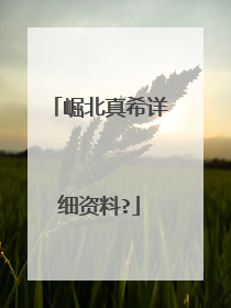 崛北真希详细资料?