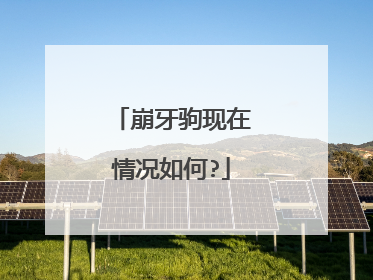 崩牙驹现在情况如何?