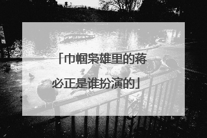 巾帼枭雄里的蒋必正是谁扮演的