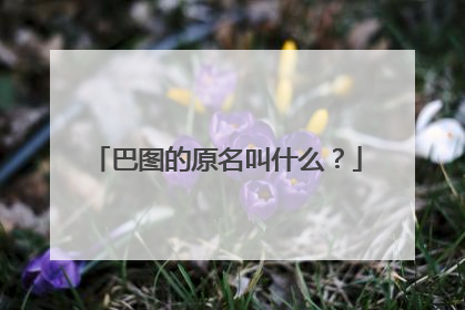 巴图的原名叫什么?