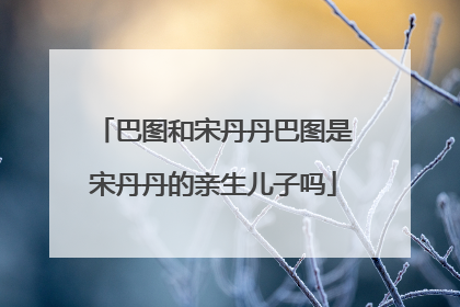 巴图和宋丹丹巴图是宋丹丹的亲生儿子吗