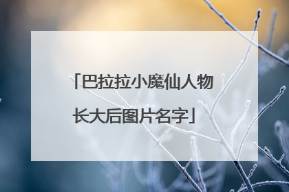 巴拉拉小魔仙人物长大后图片名字