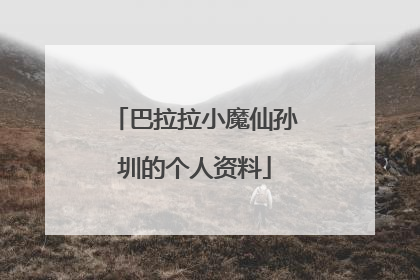 巴拉拉小魔仙孙圳的个人资料