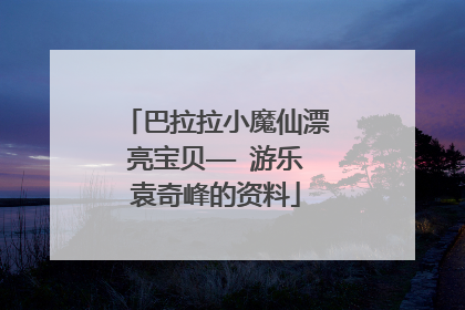 巴拉拉小魔仙漂亮宝贝—— 游乐袁奇峰的资料