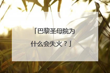 巴黎圣母院为什么会失火？