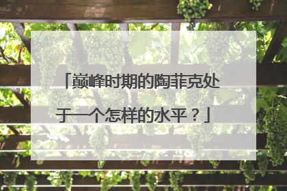 巅峰时期的陶菲克处于一个怎样的水平?