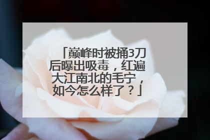 巅峰时被捅3刀后曝出吸毒，红遍大江南北的毛宁，如今怎么样了？