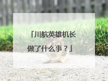 川航英雄机长做了什么事?