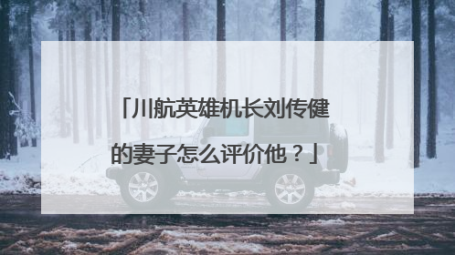 川航英雄机长刘传健的妻子怎么评价他？