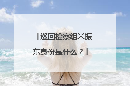 巡回检察组米振东身份是什么?