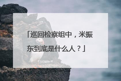 巡回检察组中,米振东到底是什么人?