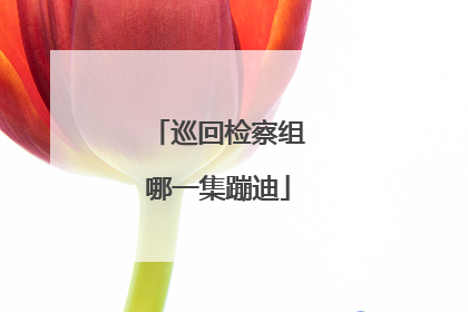 巡回检察组哪一集蹦迪