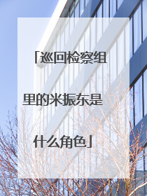 巡回检察组里的米振东是什么角色