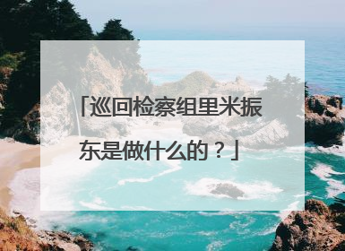 巡回检察组里米振东是做什么的？
