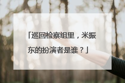 巡回检察组里,米振东的扮演者是谁?