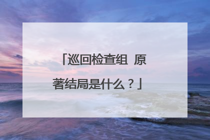 巡回检查组 原著结局是什么?