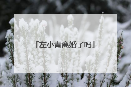 左小青离婚了吗