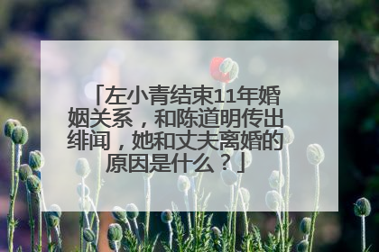 左小青结束11年婚姻关系,和陈道明传出绯闻,她和丈夫离婚的原因是什么?
