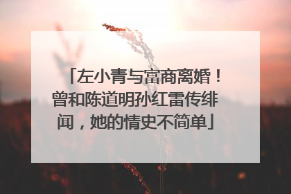 左小青与富商离婚!曾和陈道明孙红雷传绯闻,她的情史不简单
