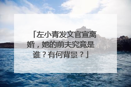 左小青发文官宣离婚,她的前夫究竟是谁?有何背景?