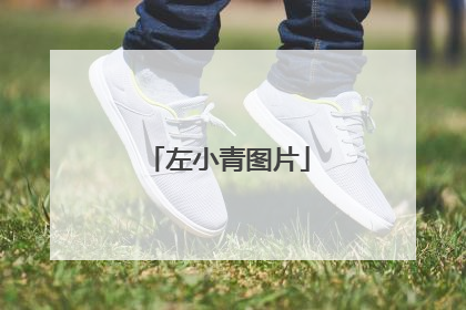 左小青图片