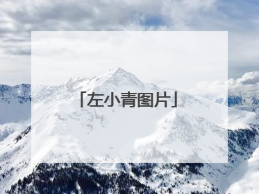 左小青图片