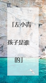 左小青孩子是谁的
