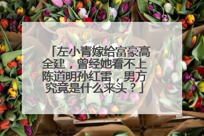 左小青嫁给富豪高全建，曾经她看不上陈道明孙红雷，男方究竟是什么来头？