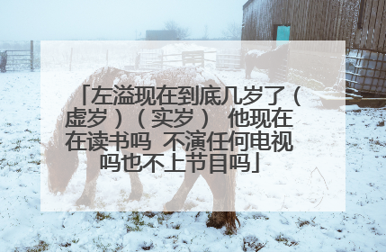 左溢现在到底几岁了（虚岁）（实岁） 他现在在读书吗 不演任何电视吗也不上节目吗