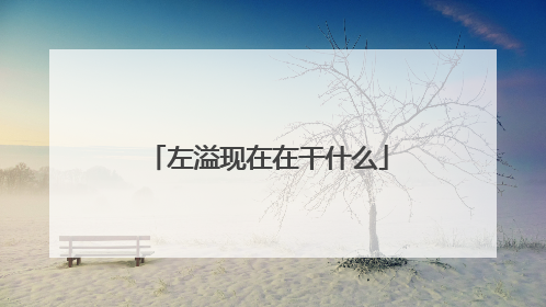 左溢现在在干什么