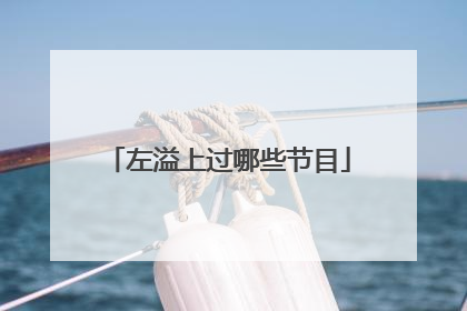 左溢上过哪些节目