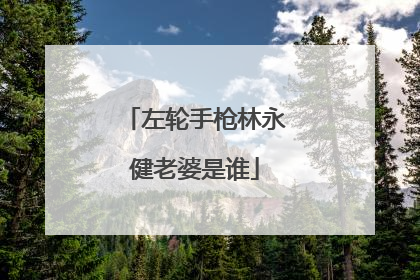 左轮手枪林永健老婆是谁