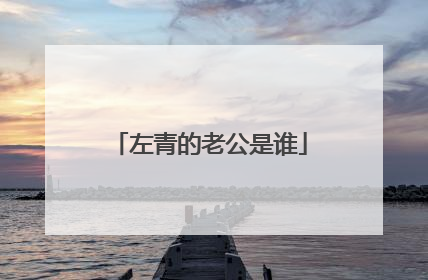 左青的老公是谁
