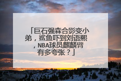 巨石强森合影变小弟，鲨鱼吓到刘语熙，NBA球员麒麟臂有多夸张？
