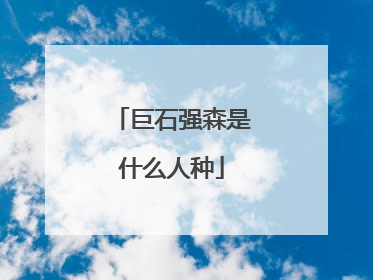 巨石强森是什么人种