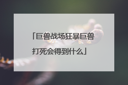 巨兽战场狂暴巨兽打死会得到什么