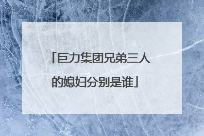 巨力集团兄弟三人的媳妇分别是谁