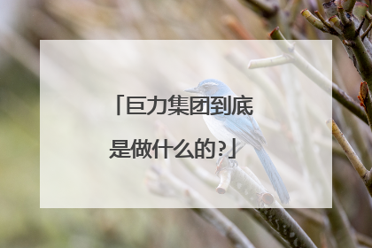 巨力集团到底是做什么的?