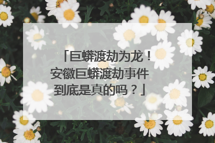 巨蟒渡劫为龙！安徽巨蟒渡劫事件到底是真的吗？