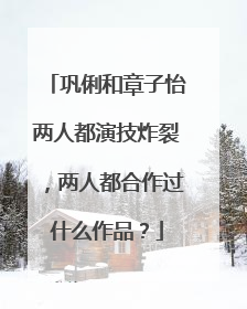 巩俐和章子怡两人都演技炸裂，两人都合作过什么作品？