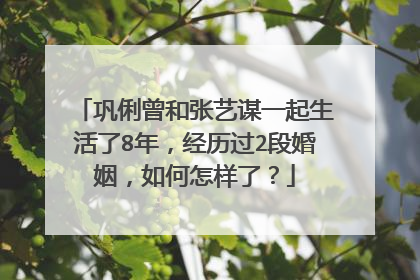巩俐曾和张艺谋一起生活了8年,经历过2段婚姻,如何怎样了?